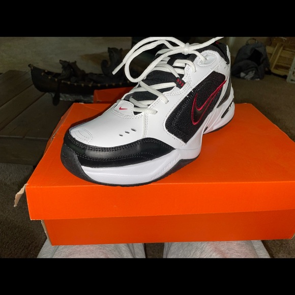 Air Monarch IV - Picture 5 of 6